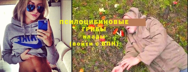 mdpv Дубна